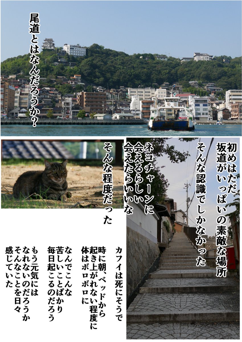 そねこ　20キロ 投稿詳細｜MOTOCLE