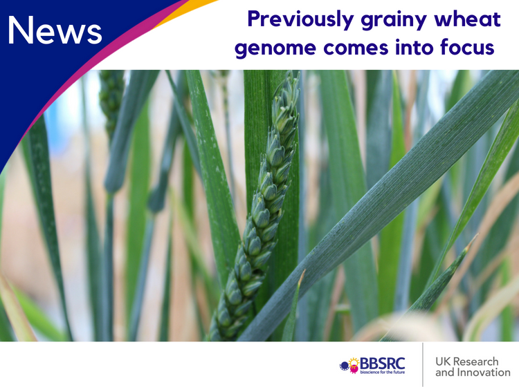 Biotechnology and Biological Sciences Research tweet media