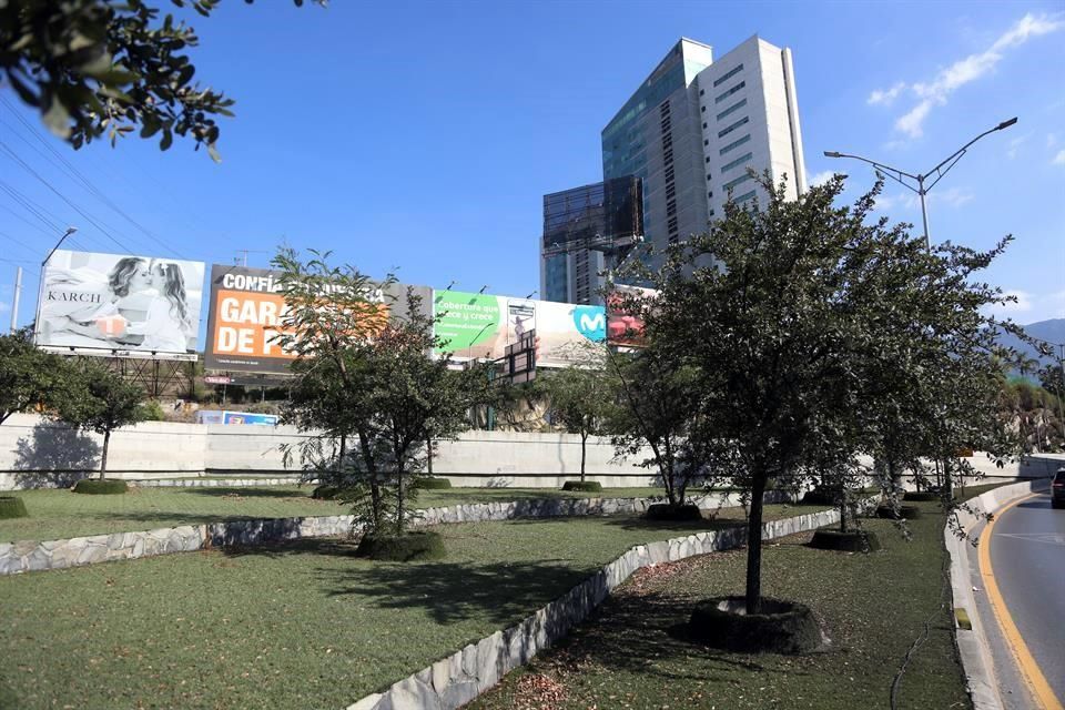 elnorte's tweet photo. La asociación Reforestación Extrema denunció que varios árboles fueron mutilados en Gonzalitos para no tapar los panorámicos en la avenida. Video: https://t.co/99LJwE0Qxx  #LibreAcceso https://t.co/KsWYsoLSqU