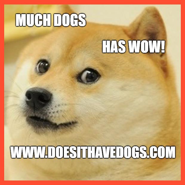 DoesItHaveDogs's tweet image. We've reached our 50th post!!!🍾🐶🎉
DoesItHaveDogs.com 
#DoesItHaveDogs #MovieReviews #DogsofTwitter #DogsLife #Dogs #Reviews #Movies #DIHDMovieReviews #DIHD