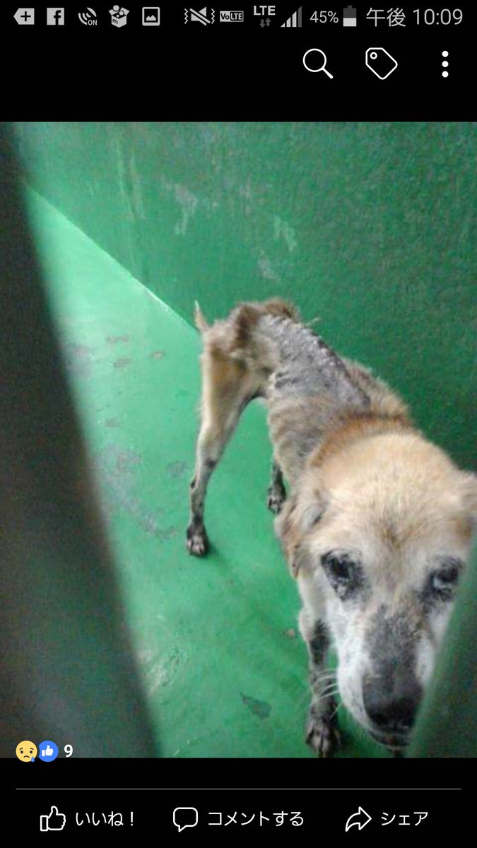 高知県中央小動物管理センター 高知県中央小動物管理センター