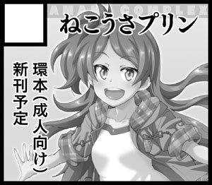 11月横浜ののISF申し込みました。前回は欠席してしまって申し訳ございませんでした。受かってれば今度こそ環本出したいと思います。 