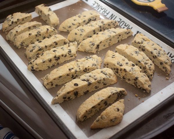 NutraMaize tweet media