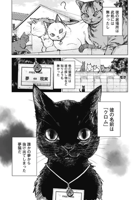 そういえば、本日8月17日は「黒猫感謝の日」らしいので、黒猫ちゃんが主人公のこちらの「夢猫ハ闇夜ニ潜ル」という漫画を読んでみたら良いと思いますよ‥‥[岩陰]_・。)#黒猫感謝の日 