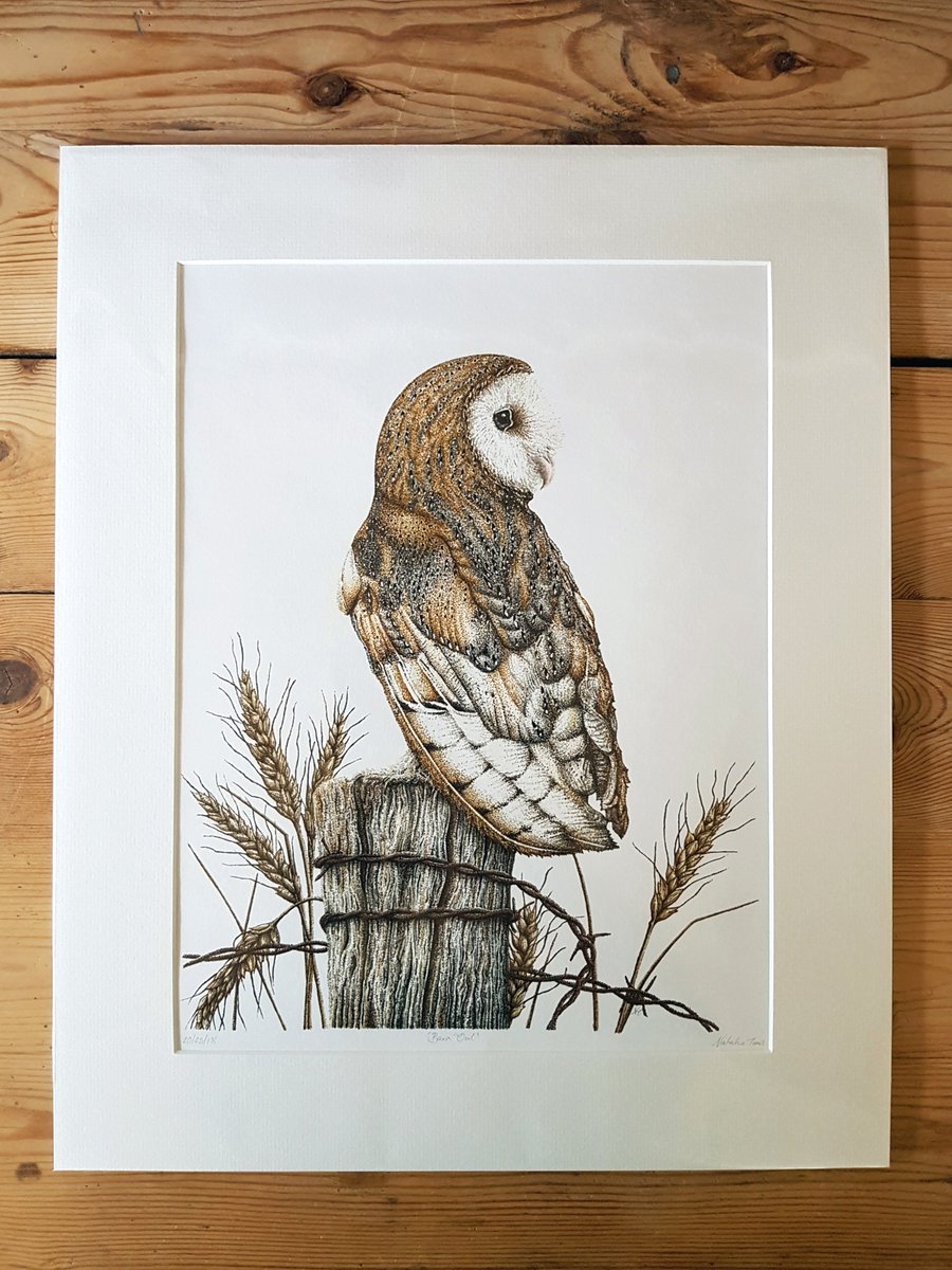 We are delighted to be adding the work of Natalie Toms to our portfolio at Avocet. Check out her work on our website. @thickets_studio #thicketsstudio #wildlife #artist #wildlifeart #natureartist #gallery #prints #art #interiordesign #owl #cornishartist #giclee #pointillism