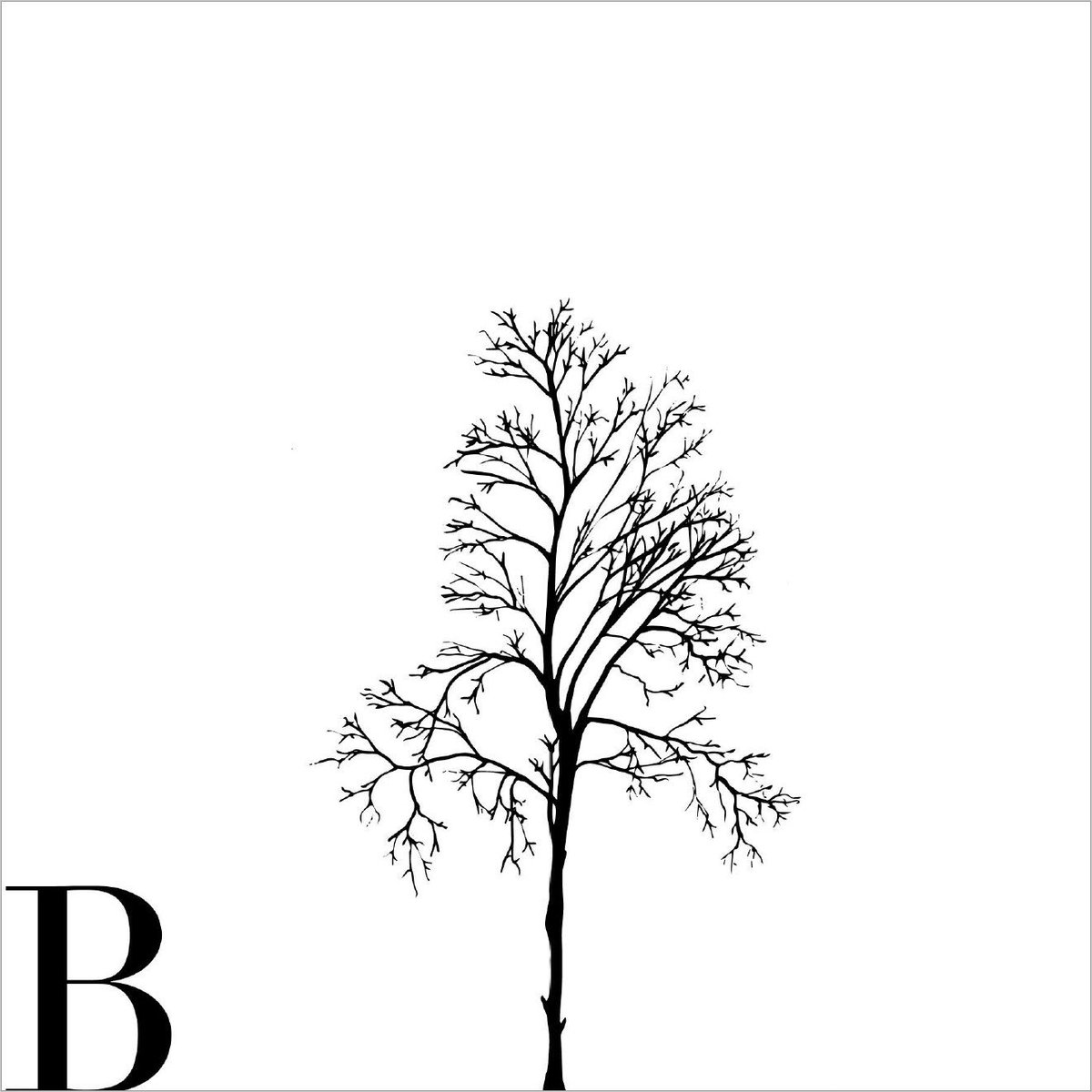 Katie Holten | Language of Trees🌳 | CRISIS 🇵🇸 tweet media