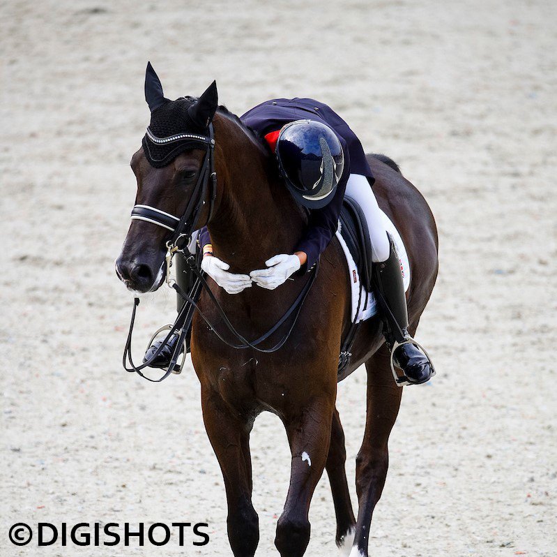 She's done it! Charlotte Fry takes the GOLD medal in the U25s European Championships Freestyle with a whopping 82.14% 🥇What an achievement!

Ryan Todd and Rebecca Edwards also scored well for GB. Click for results bit.ly/ExlooU25s

Photo copyright Digishots.
