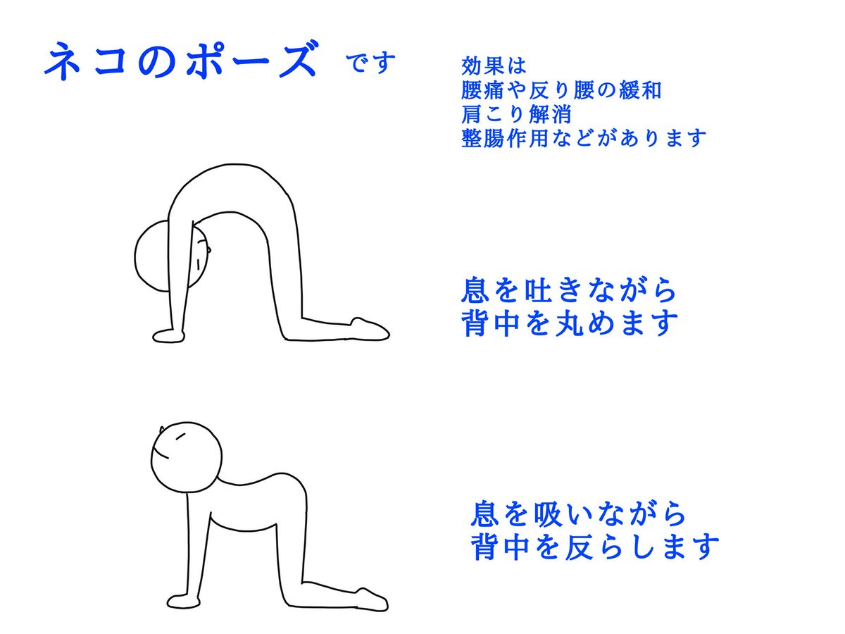 ネコに関するヨガを
まとめてみました

こういうのはネコになったつもりでやると
より効果的です(^ ^) 