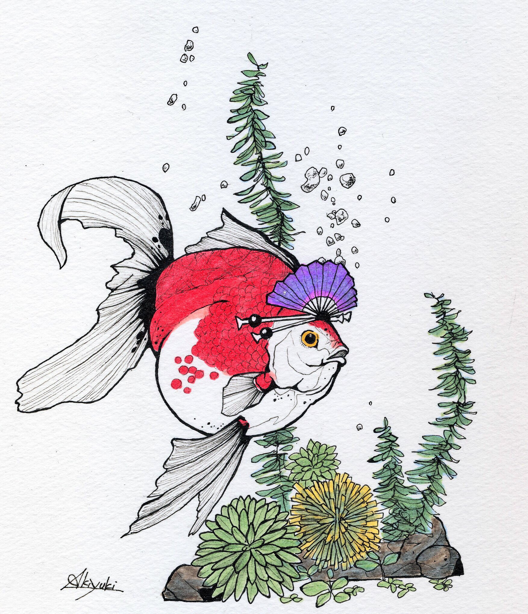 アキユキaq 金魚イラストもう一つありましたϵ 8 花魁金魚 金魚 金魚イラスト 残暑見舞い コピック 動物イラスト コピック絵を流してコピック民を増やそう