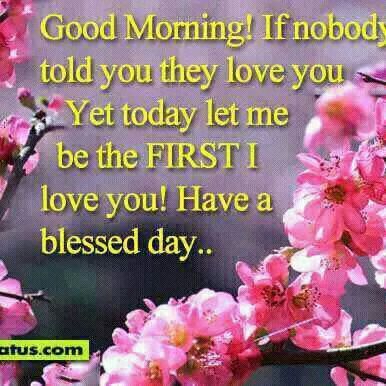 Kaymo_wolf's tweet image. 