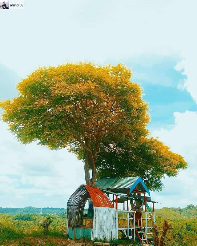maitewuna's tweet photo. Siap explore Muna weekend ini? .
.
#Repost from @arundr58 with @regram.app ... Puncak Banggai 
Lokasi :  Puncak Banggai 
Kecamatan : Duruka, Raha 
Kabupaten : Muna 
Desa : Banggai 
@maitewuna @exploremuna @munahuntingclub @muna.hitskekinian 
Foto By : @anianimates… https://t.co/VEIjyHH1TJ https://t.co/mMISMLKVLj