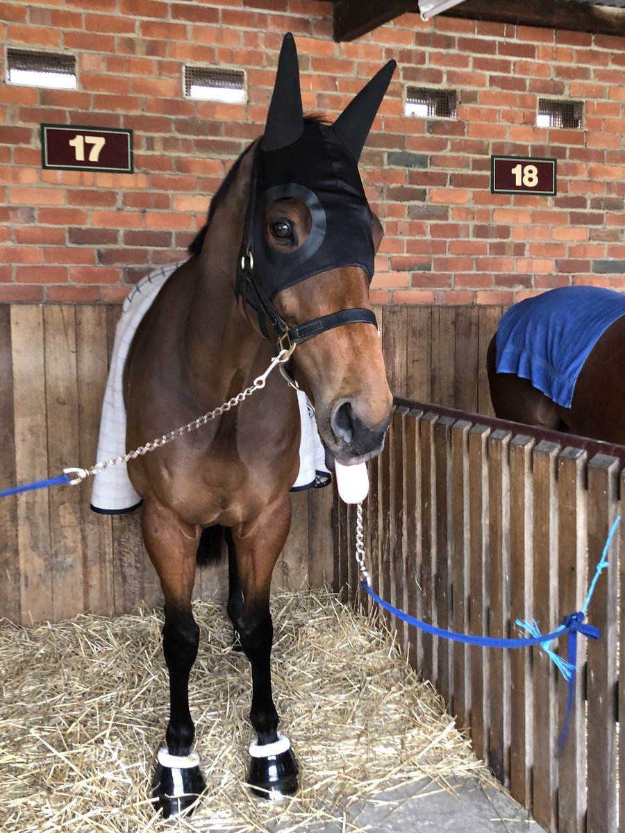 davecama's tweet image. Because I’m happy! #HappyClapper