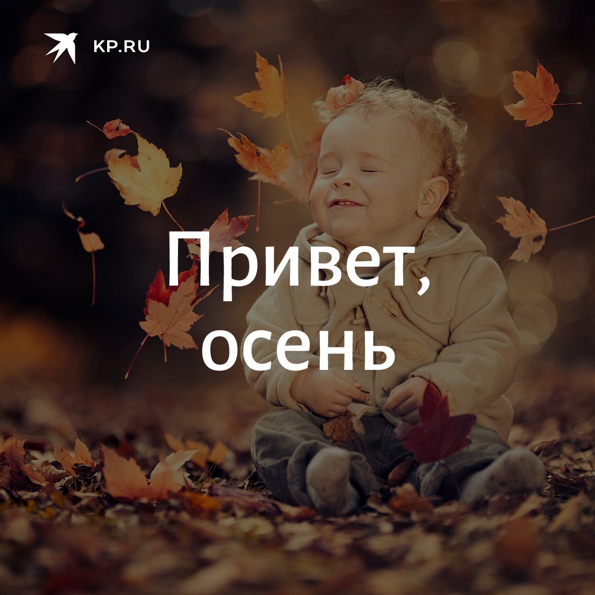 Привет, осень!