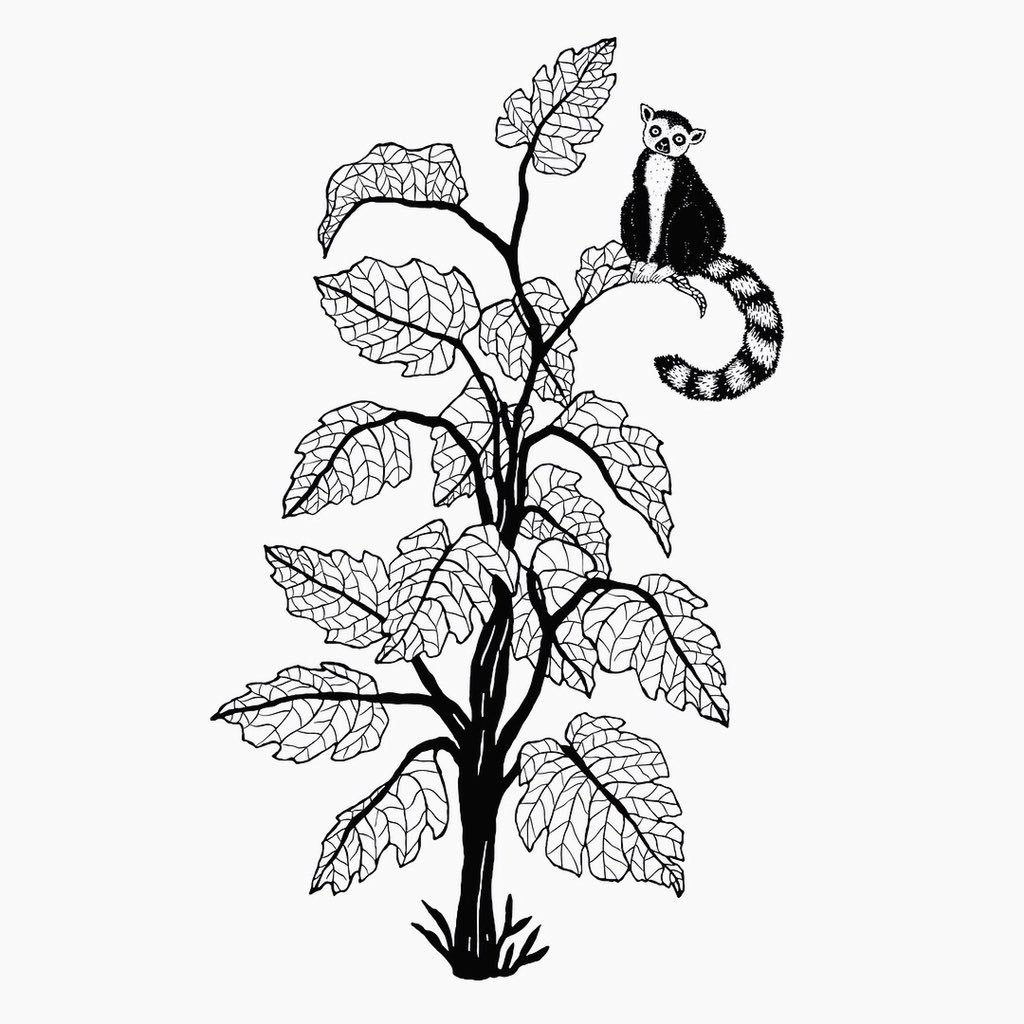 Jessica Jane tweet media