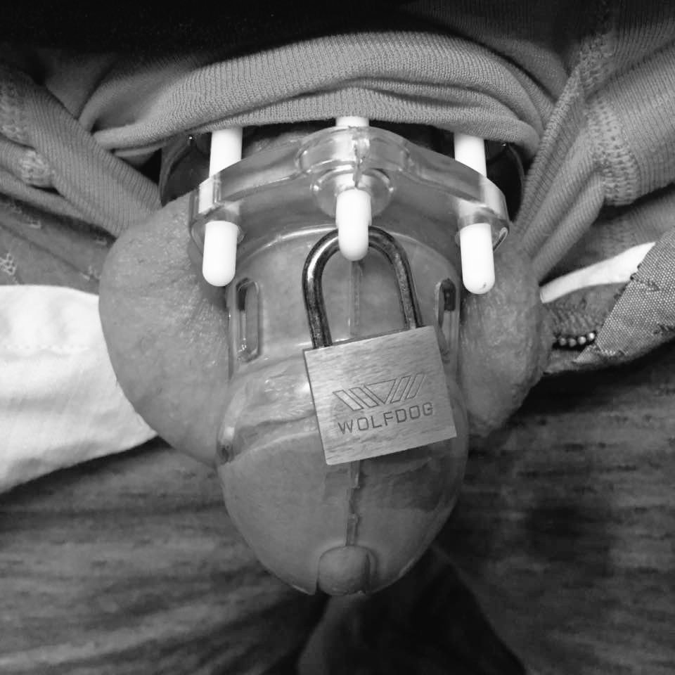 pay_big's tweet photo. Por favor mi #dominatrix @Jessy_Bentley permíteme que finalice con mi #chastity #extreme en #Verano2018
Te daré lo que me pidas, pero por favor acaba con este sufrimiento, solo tú tienes la llave de la libertad
#findom #humiliation #slave #paypig #sissy #keyholder #chastityslave https://t.co/0WDD54Wkd4
