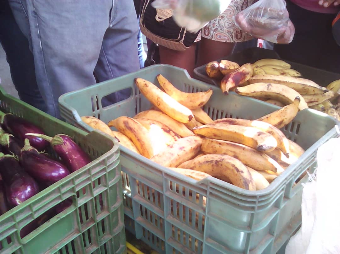 comuna27FyT's tweet photo. Durante la realizacion de Feria Productiva este Viernes 31/08 en el Boulevard Miguel Parra de  Guarenas a traves del Consejo de Economia de la Comuna 27 de Febrero se ofrecieron productos a buen precio, huevos, platanos, verduras y mas https://t.co/YGRK9Ct7mX