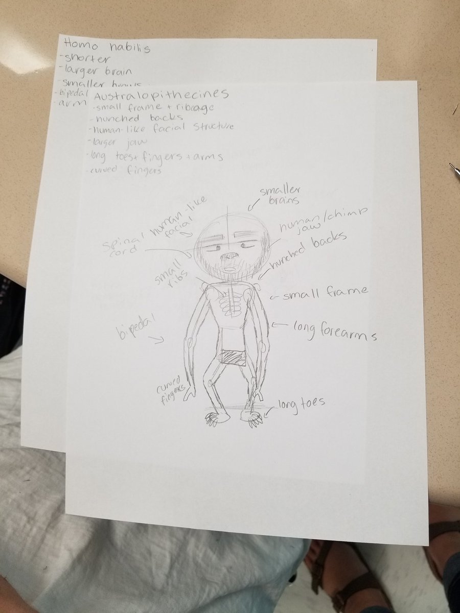 mrsjhowells's tweet photo. Today, students drew pictures of early humans, or hominids. They did a great job! #history #stayWILD https://t.co/syRkFBTuuu