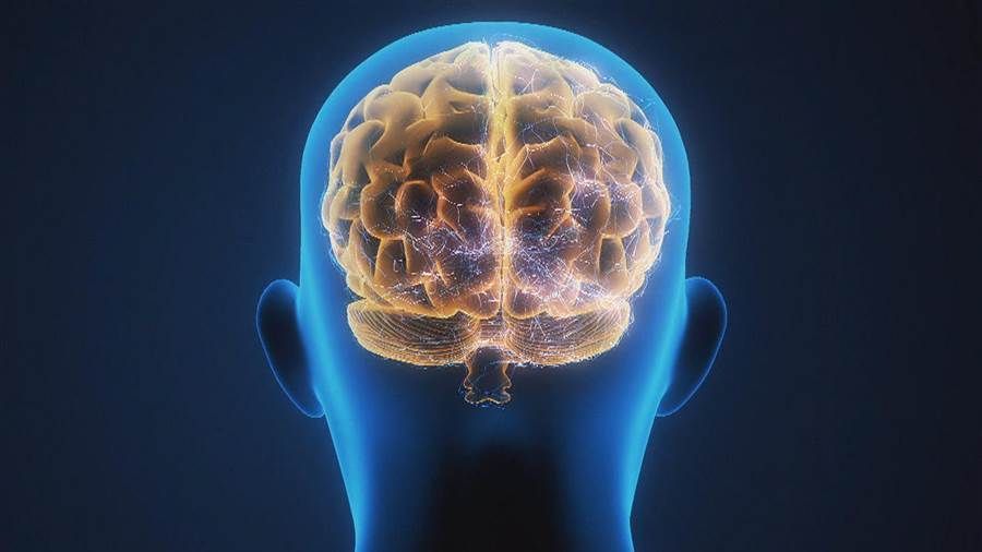 "When your brain detects a threat (such as a loud noise, being criticized, or a spider on the wall), it sends a surge of stress hormones." 
Read the full piece from Psychology Today >> buff.ly/2LCJLEI

#cognitivehealth #stress #stressmanagement #functionalmedicine