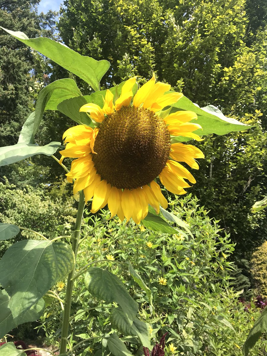 xoxo_alexxiss's tweet image. British Columbia 🇨🇦✨