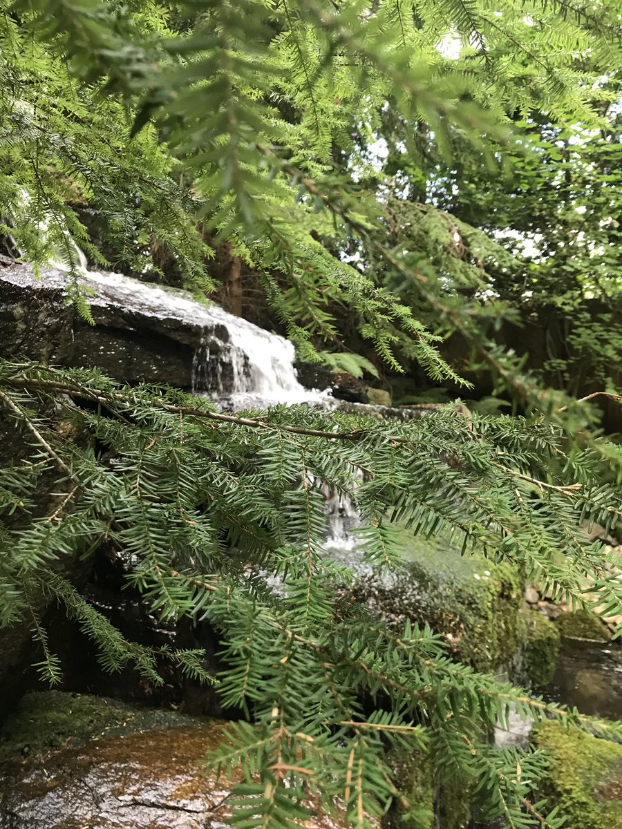 xoxo_alexxiss's tweet image. British Columbia 🇨🇦✨