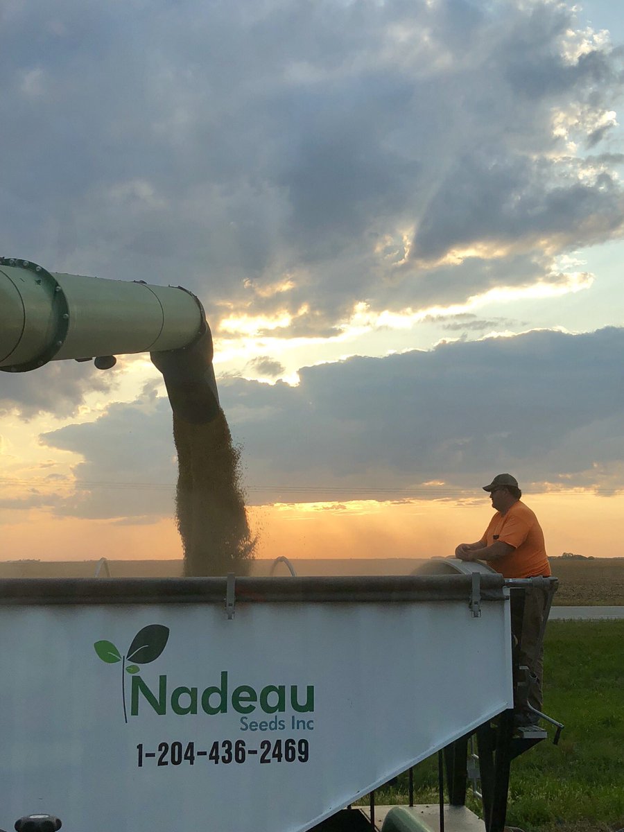 Soybean harvest has started! Today we did the NSC Watson RR2Y and we finished the field with a beautiful sunset on the horizon. <a href="/NSGeneticsCA/">NorthStar Genetics</a> #harvest18 #soybeans #prairieskies #ourseedyourfuture
