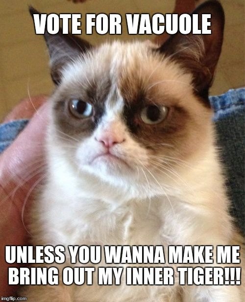 VictorVacuole2's tweet photo. https://t.co/HvkJqtTobc