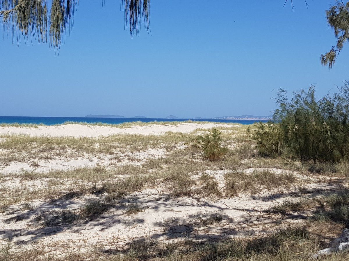 dontgetsnappy's tweet photo. Happy weekend everyone. My view for the next couple of days + 🍺 https://t.co/sPAiTqZah7