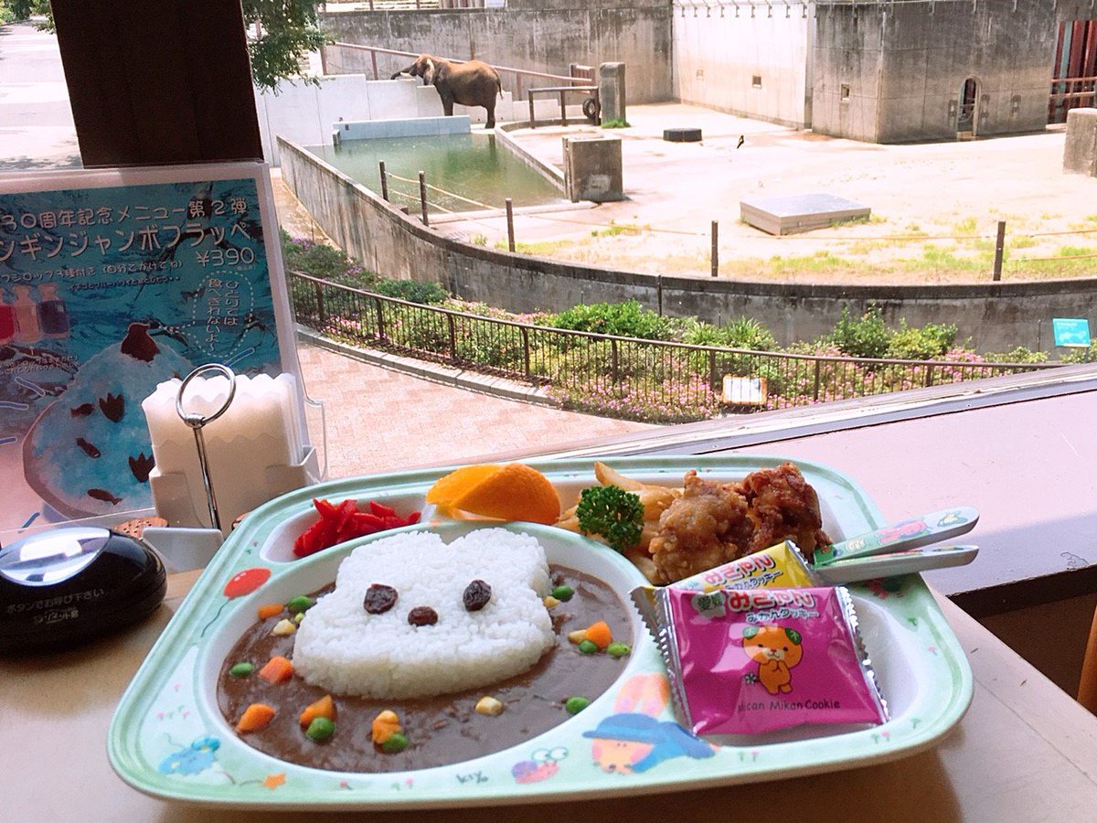 愛媛県立とべ動物園 公式 アフリカゾウを見ながら うさちゃんカレーを食べるときは服に付かないように気を付けて食べてね 笑 子どもに大人気メニュー うさちゃんカレー は 展望 レストランsky Gardenで好評販売中です とべ動物園 Skygarden