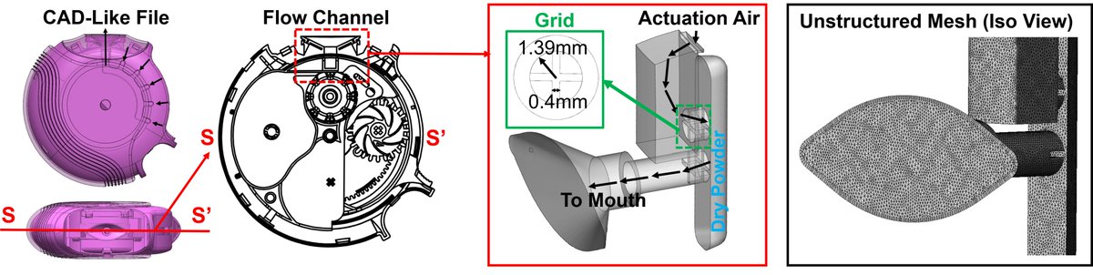 yfeng4's tweet photo. Please contact us if you are interested in investigating Bioequivalence using our in silico study platform.  We have all the pieces ready. #bioequivalence #ivivc #drypowderinhalers #dem #computationalfluiddynamicscfd https://t.co/GxJfAeZuWq