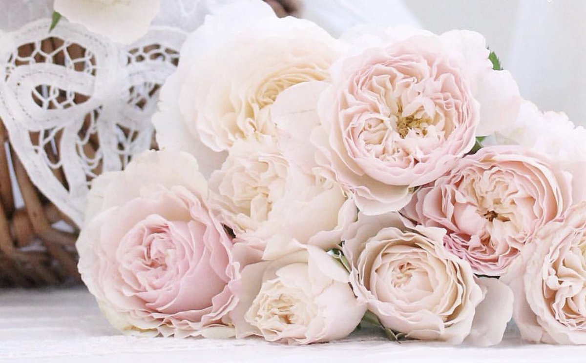 mkmm1121's tweet photo. 💕❀ ~
.
اللهم لا أمان إلا أمانك ، 
ولا سعة ومغفرة إلا من عندك ، 
اللهم لملم شتات أرواحنا واجبر كسر قلوبنا وألهمنا شكرك 🌸🍃
.

💕❀~
#قروب_روح_الوفاء_للدعم
#قروب_الصبايا_للاضافات
#الحسناء_للاضافات https://t.co/7kYD4tubTw