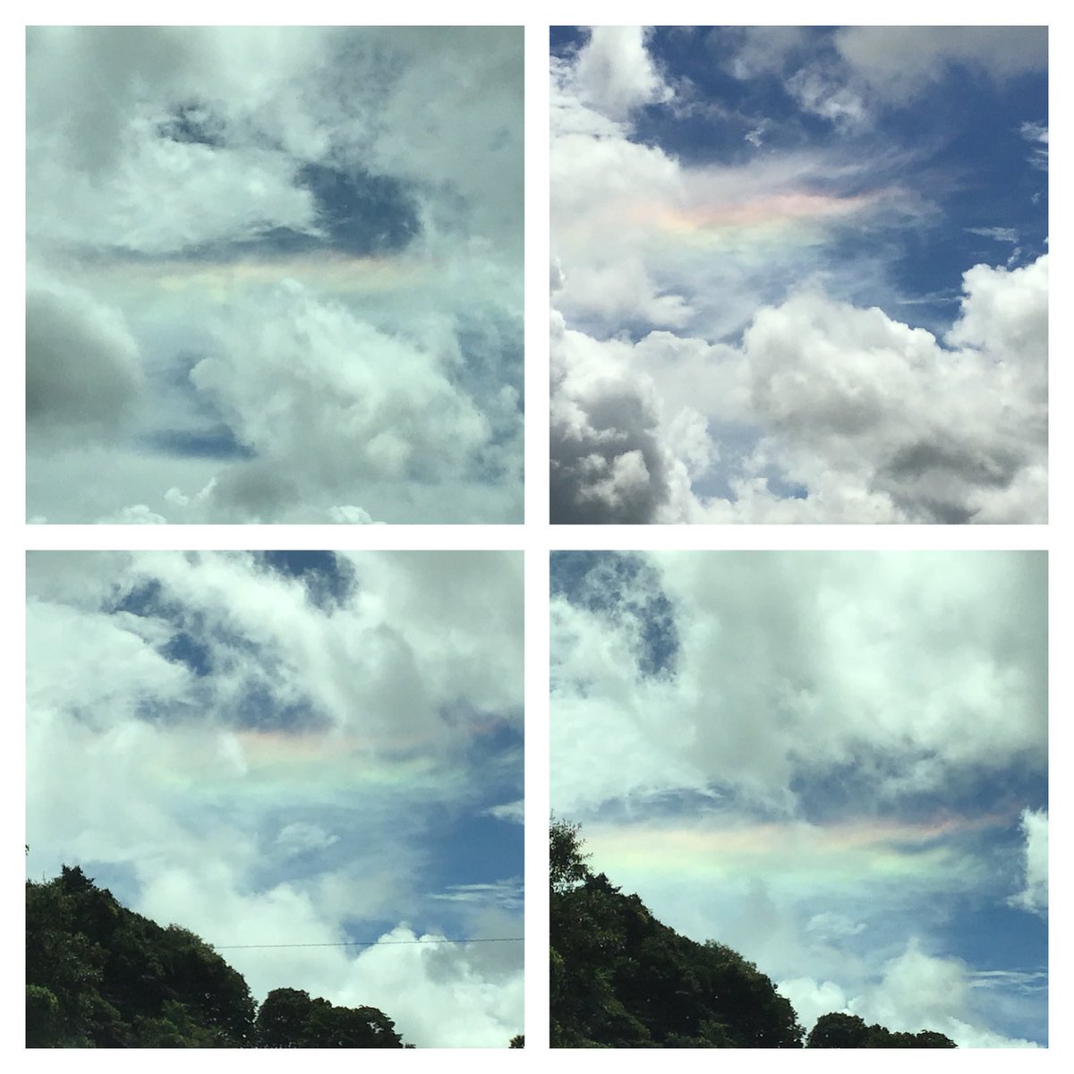 kaidachi1's tweet image. Made with apple.co/20wkpym #multiframe    
8月31日 12:30  佐賀   これは何ですか？