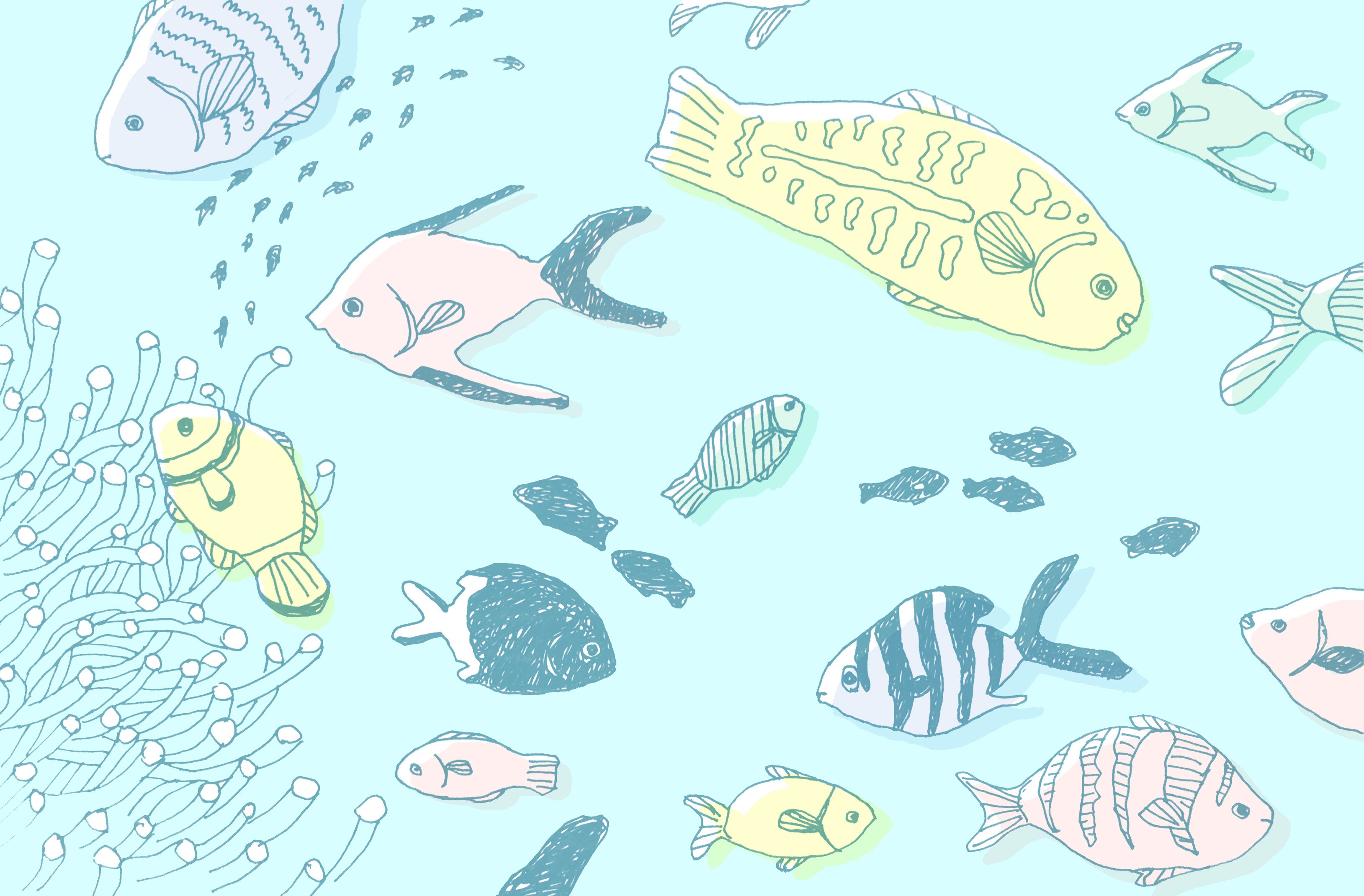 Sayako Tachi No Twitter とても懐かしい絵なのですが 去年の夏に渡嘉敷島に行った時に描いたイラスト です 透明度の高い海の浅瀬に たくさんの種類の魚たちが 各々の暮らしを営んでいました 私もこの魚たちの一員になったかのように 泳ぎました Illustration