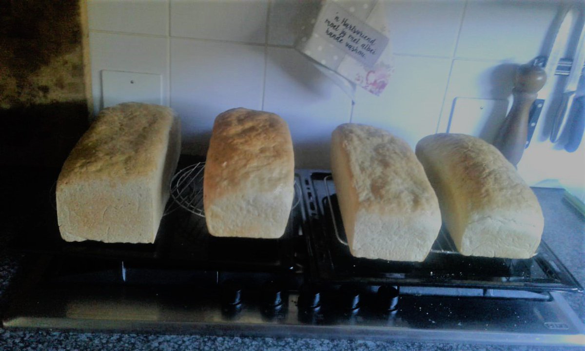 CaffeBlu's tweet image. Early morning! Fresh bread baked daily for Caffe Blu #passionforwhatyoudo #earlymornings #Caffeblu