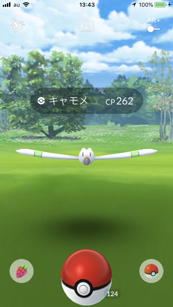 ポケモンgo キャモメコミュニティデイ 仮 によってダンバル等のレア湧きが食われている ポケモンgo攻略まとめ速報