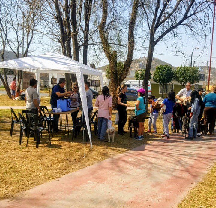 Campaña de vacunación para mascotas en la plaza 25 de mayo de barrio industrial
