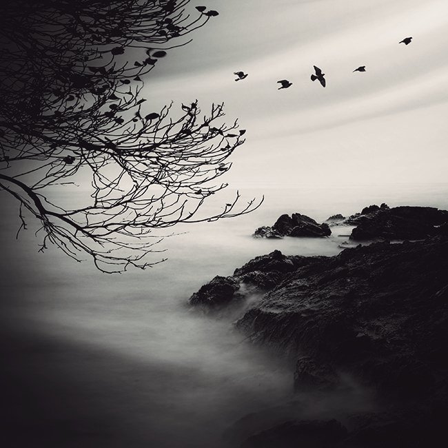 " El amor nunca muere de muerte natural. Muere de tristeza,de soledad e indiferencia,muere de cansancio,de marchitarse... de perder su brillo."
                           Anais Nin