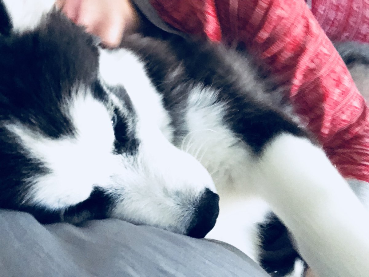 HeatherAbair's tweet photo. https://t.co/TPzq04UZqJ