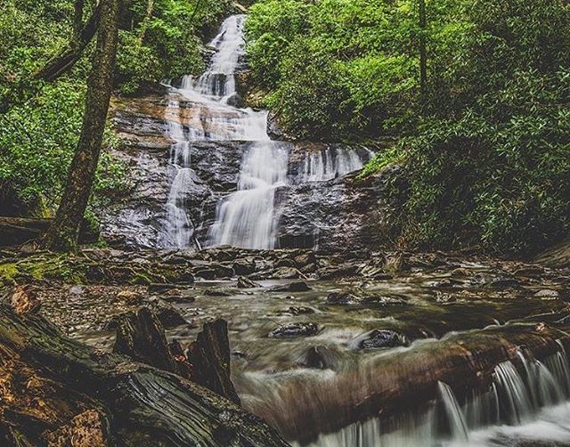ncoutdoorsusa's tweet photo. Waterfall Wednesday!!! Beautiful shot! Thank you @cameronwanders for sharing! Make sure to use #ncoutdoors to be featured🌲
.
.
.
Selected by: @filmgirlbynature
.
.
.
#northcarolinaoutdoors #ncnature #explorenc #northcarolinaphotography https://t.co/4cYM2UWWva https://t.co/jDt1OkhFQL