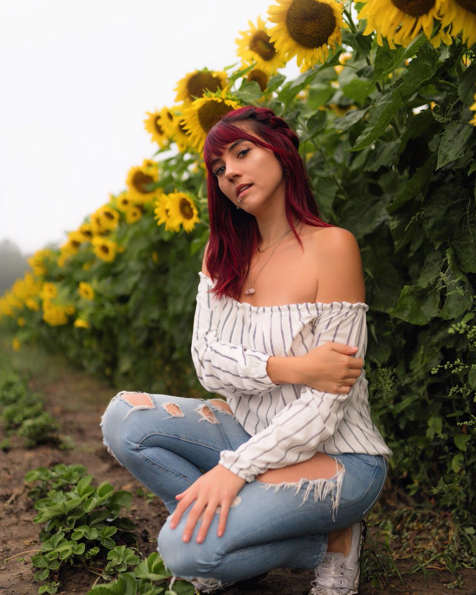 PandoJenna's tweet photo. 🌻🌻🌻🌻🌻
.
.
.
.
.
📸 @snappedbycam 
#summer #portraits #sunflower #toronto https://t.co/OZC3vZYdQx