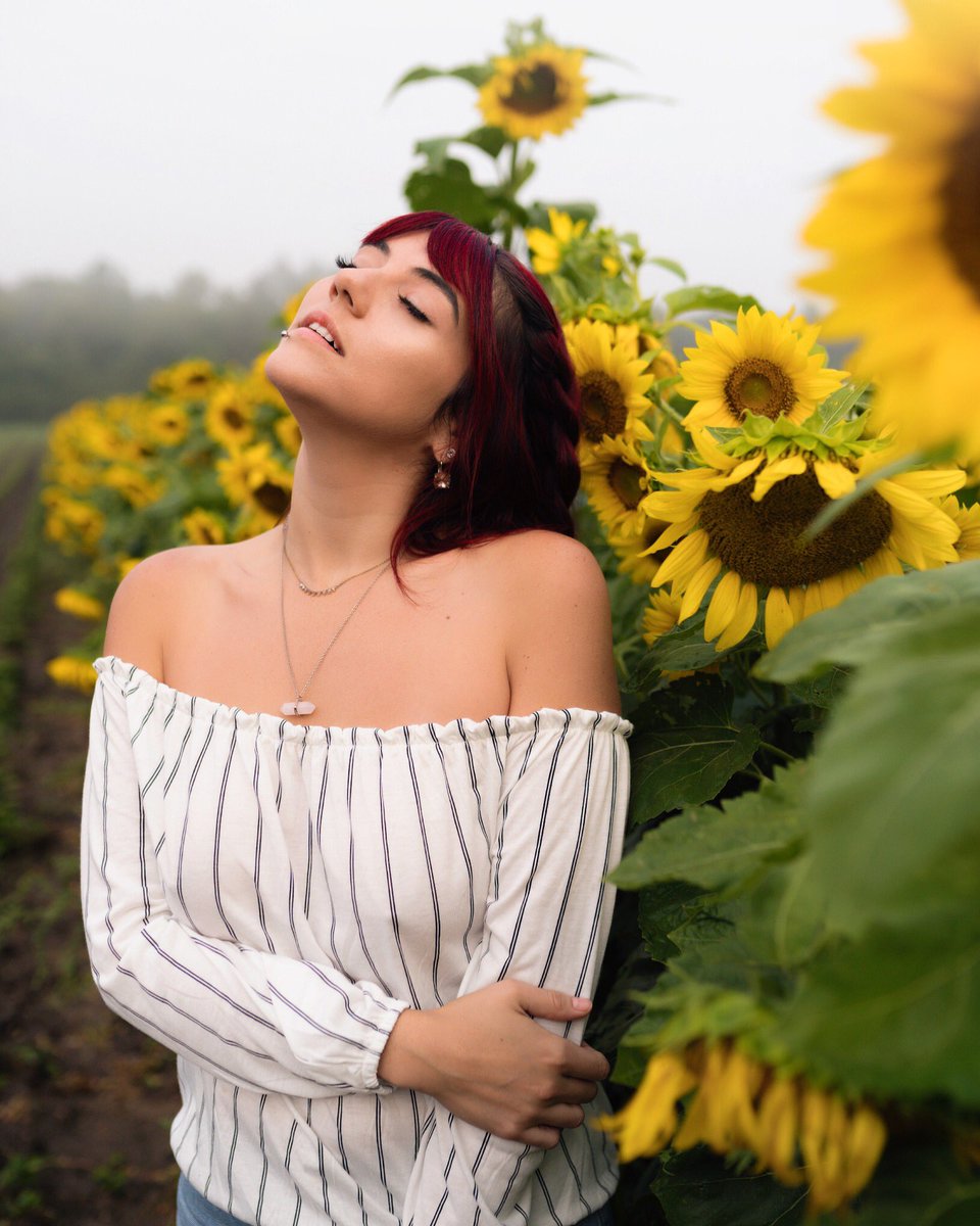 PandoJenna's tweet photo. 🌻🌻🌻🌻🌻
.
.
.
.
.
📸 @snappedbycam 
#summer #portraits #sunflower #toronto https://t.co/OZC3vZYdQx