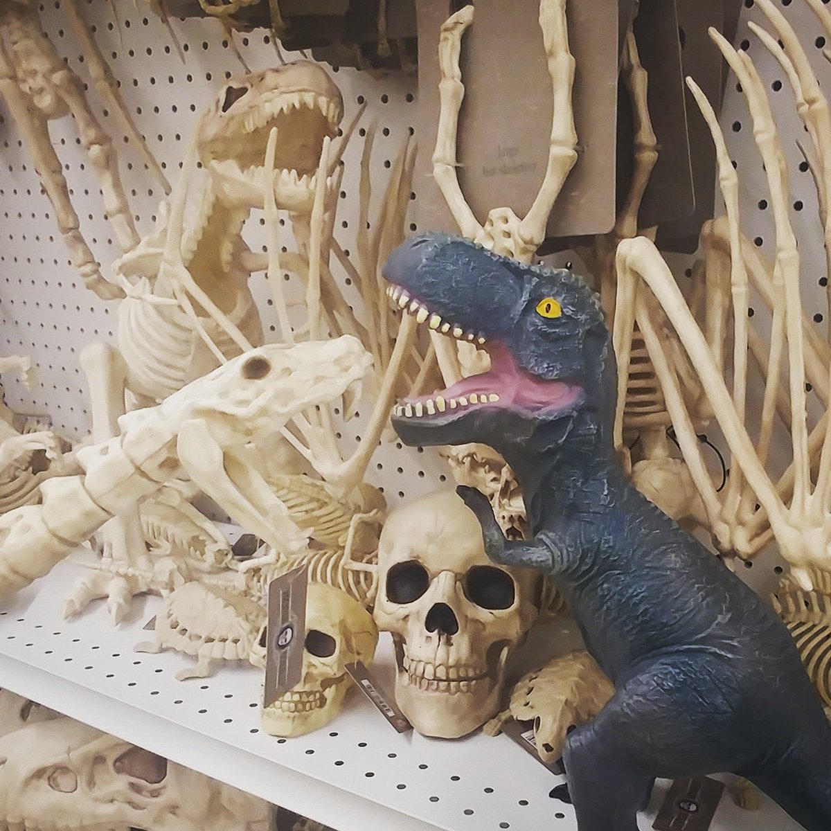 Coffeeasaurus's tweet photo. And then we went to @JoAnn_Stores

That's when it all went wrong!

#KansasCity #kcmo #dinosaur #coffeeasaurus https://t.co/VHEQGxg46U