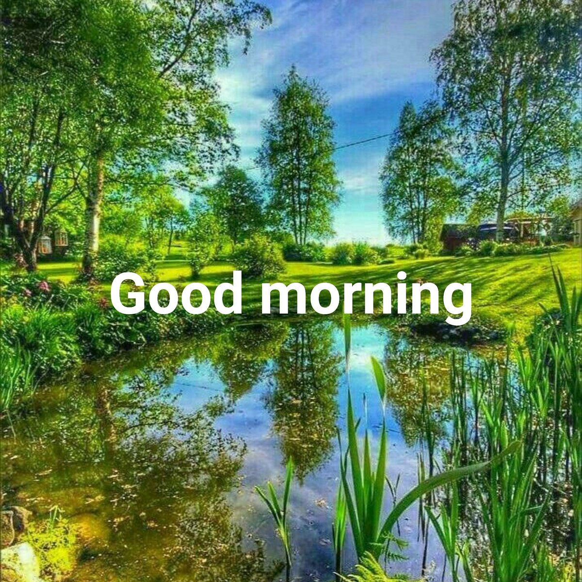 Narandra K Sharma on Twitter: