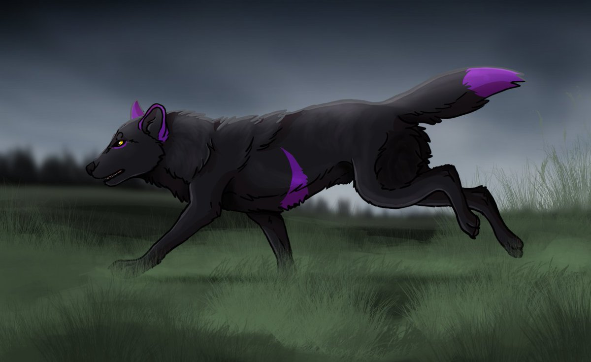 MIDNIGHTSKYWOLF's tweet image. Having a brainstorm for an idea for my next video this one will definitely be my most best work 
#wolvesforever #wolves #Wolf