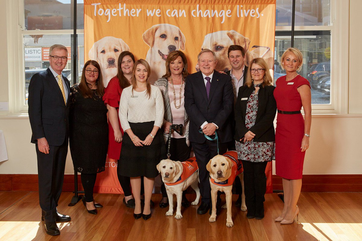 BlueTreeMelb's tweet image. BTS covered the photography for the @GuideDogsVIC event congratulating all 75 of the dogs who have gone forward to fulfil positions in guiding, breeding, and ambassador duties as companions, pets as therapy and as PTSD dogs.