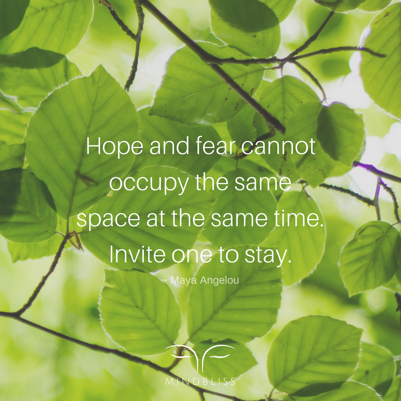 MindblissInc's tweet photo. Hope and Fear cannot occupy the same space at the same time. Invite one to stay. ~ Maya Angelou https://t.co/yYcAg8zghl
