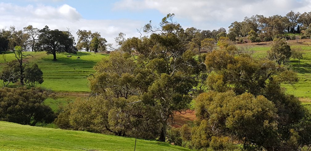 Beautiful weather for our quoting team up in Bullsbrook today!