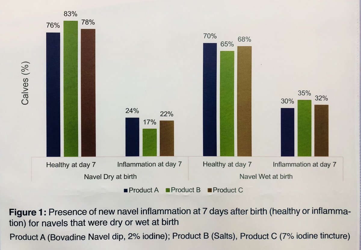 <a href="/danibruno/">Daniela Bruno</a> sharing <a href="/DeLavalUS/">DeLaval USA</a> results of Bovadine Navel Dip.  Results showed same efficacy as 7% iodine solution #WBC2018
