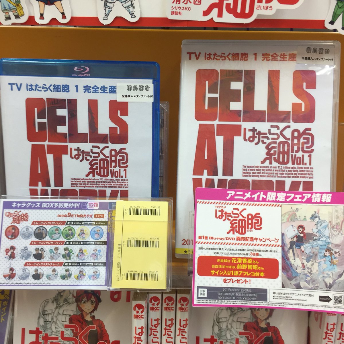 アニメイト静岡パルコ 入荷情報 Dvd はたらく細胞 1巻入荷しましたシズ アニメイト連動購入特典は1 4巻連動購入でランチトートバッグ 全巻購入で描き下ろしb2マルチクロスシズ はたらく細胞 第1巻 Blu Ray Dvd 発売記念キャンペーン開催中シズ