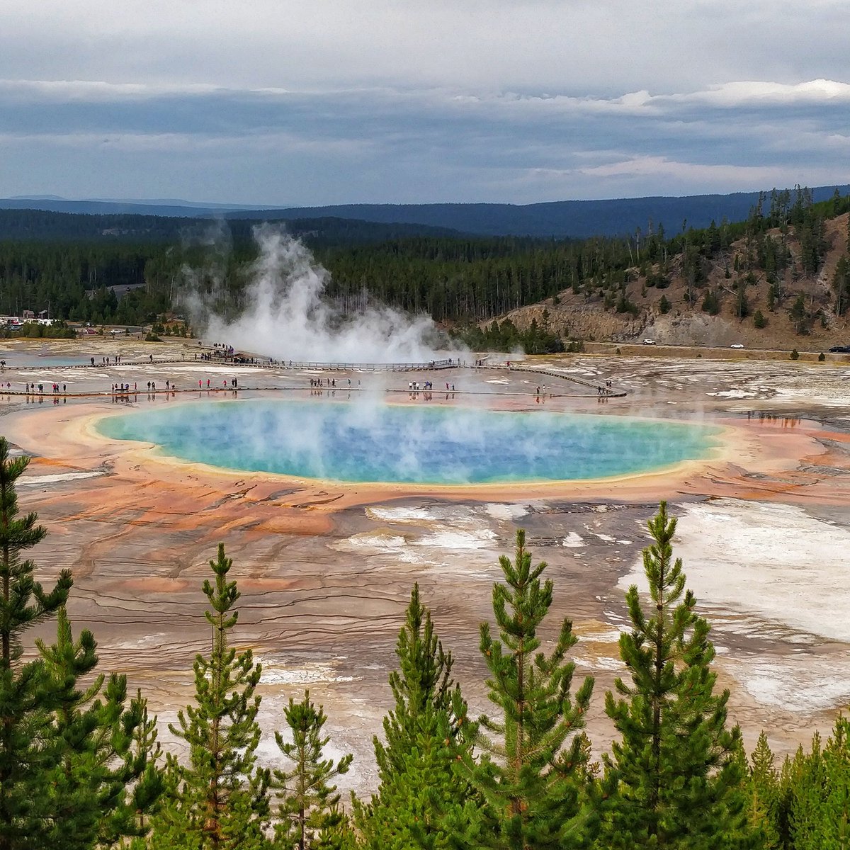 Grand Prismatic Spring in Yellowstone National Park. #Yellowstone #visitYellowstone #GrandPrismaticSpring #roadTrip