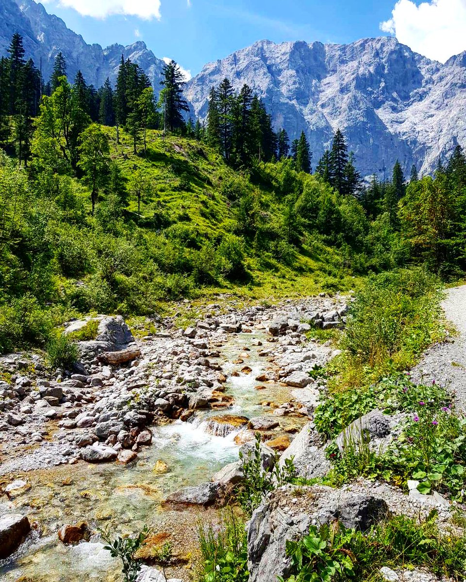 💚pure #natur 👉🏼🍀 #karwendel #eng ##naturpark #tirol #berge #austria #ahornboden #momente #nature